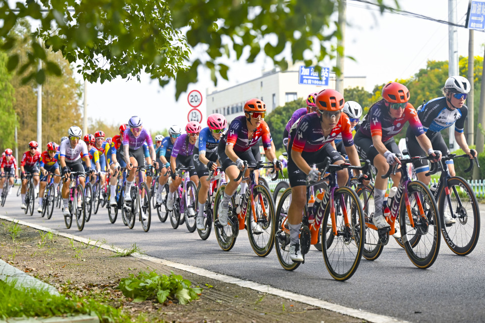 手范, 参赛选手在 手范, 参赛选手在
