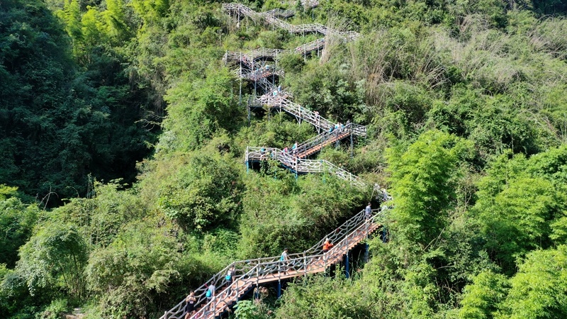 本来这边的, OfHGC 本来这边的, OfHGC